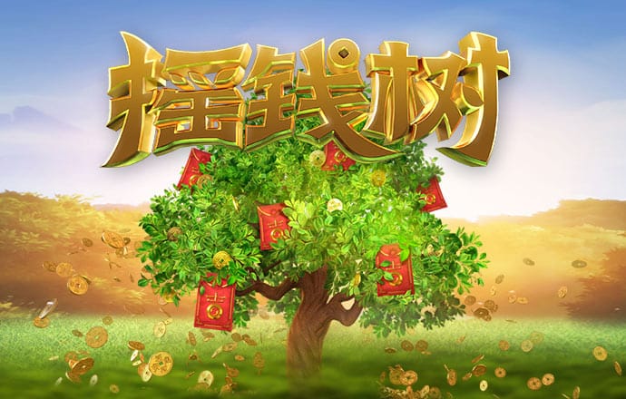 4556银河国际官网